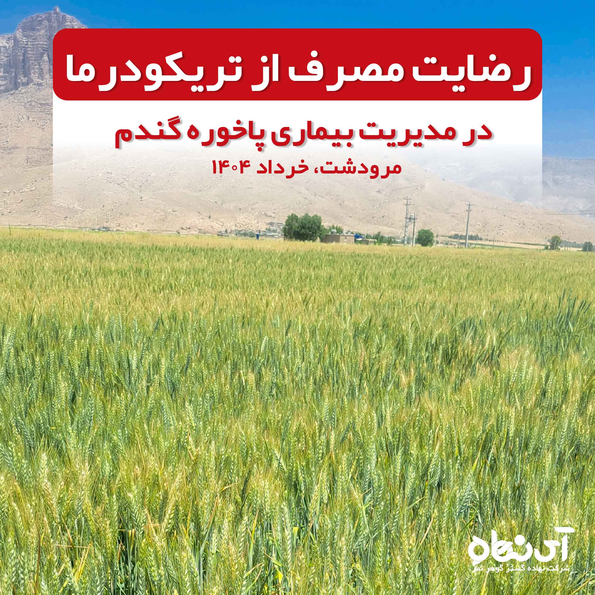 رضایت مصرف از تریکودرما در مدیریت بیماری پاخوره گندم مرودشت، خرداد 1404